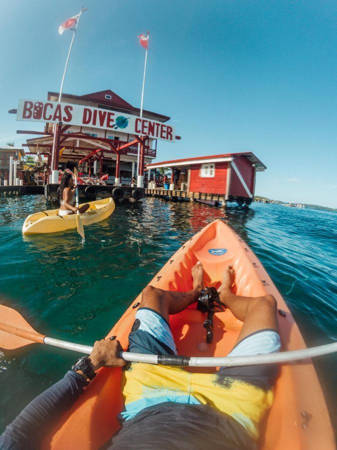Divers Paradise Boutique Hotel Bocas del Toro Eksteriør bilde