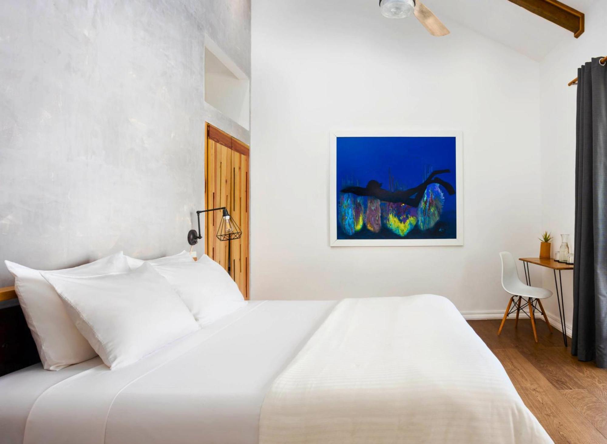 Divers Paradise Boutique Hotel Bocas del Toro Rom bilde